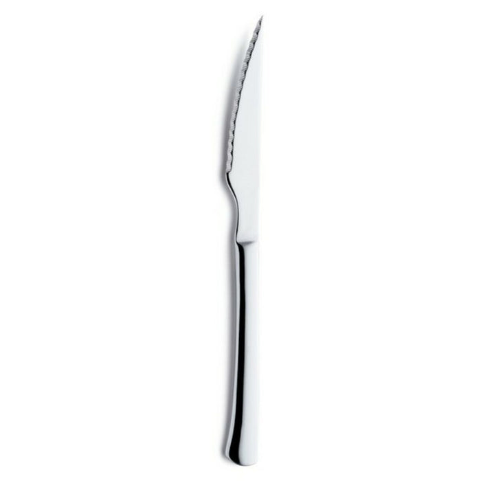 Tandad kniv Amefa Torero Metall 25 cm 12 st